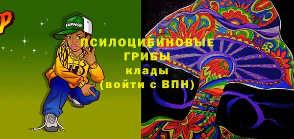 амф Алексин