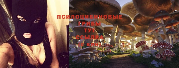 Альфа ПВП Абинск